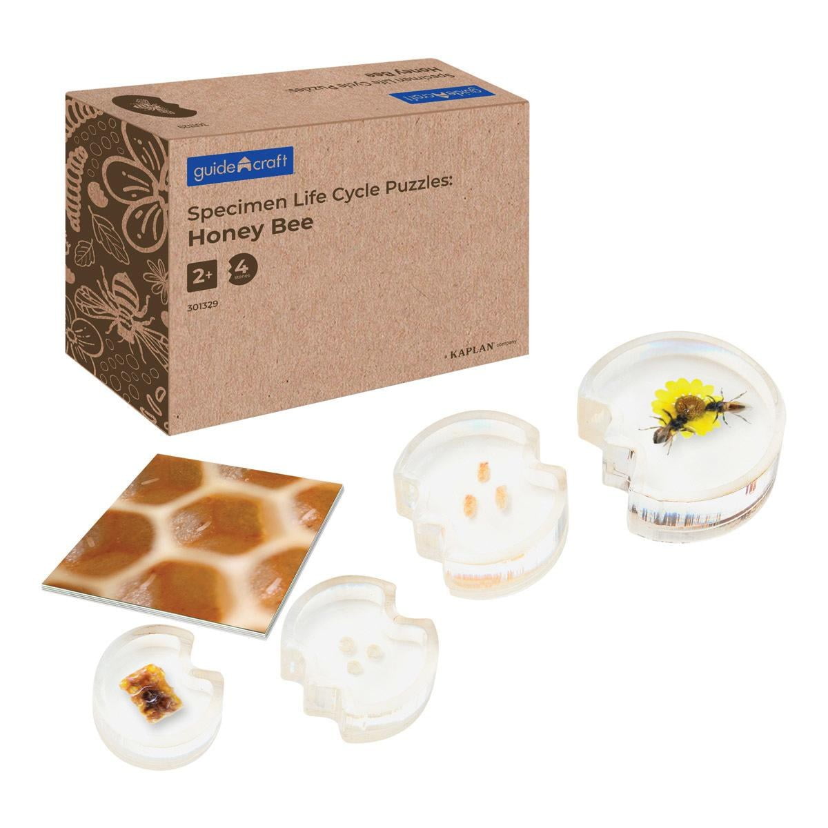 Kaplan Early Learning Company Specimen Life Cycle Puzzles - Honey Bee ...