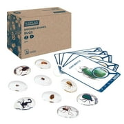 Kaplan Early Learning Company Specimen Stones: Bugs - 9 Pieces