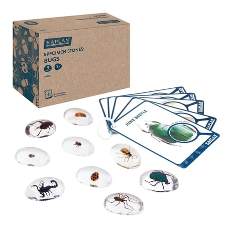 Kaplan Early Learning Company Specimen Stones: Bugs - 9 Pieces