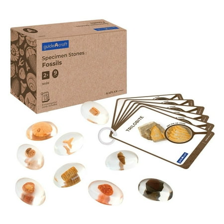 Kaplan Early Learning Company Specimen Stones: Fossils - 9 Stones