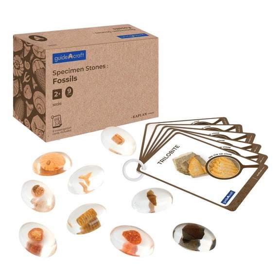 Kaplan Early Learning Company Specimen Stones: Fossils - 9 Stones