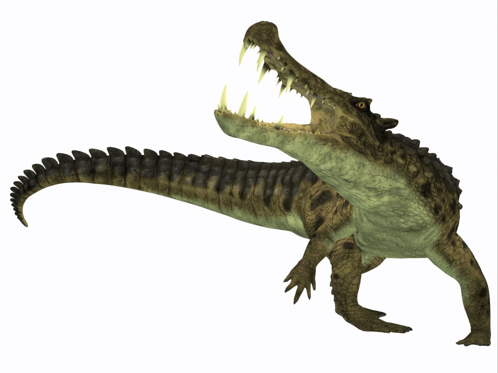 Kaprosuchus is an extinct genus of crocodile Canvas Art - Corey FordStocktrek Images (17 x 13)
