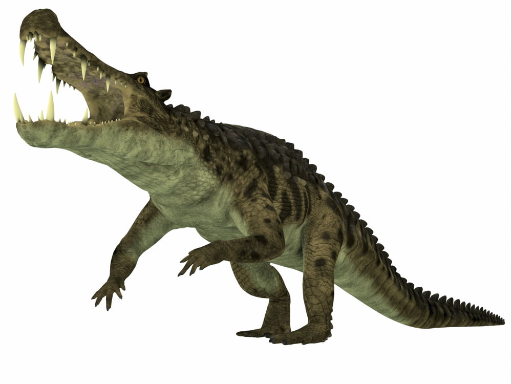 Kaprosuchus marine reptile Canvas Art - Corey FordStocktrek Images (17 x 13)