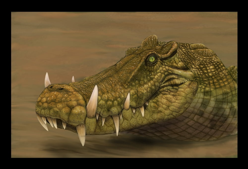 Kaprosuchus saharicus head detail Canvas Art - Alvaro RozalenStocktrek Images (34 x 24)