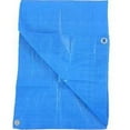thumbnail image 1 of Kaps Tex 232393 10 x 12 ft. LD Poly Tarp - Blue, 1 of 2