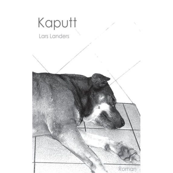 Kaputt, (Paperback)