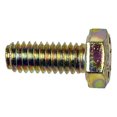 thumbnail image 1 of KarParts360 Cap Screws | Steel | Yellow Zinc | Gold | Hex Head Drive Type | Coarse Thread Type | 5/16-18 By 1 Callout Size, 1 of 4