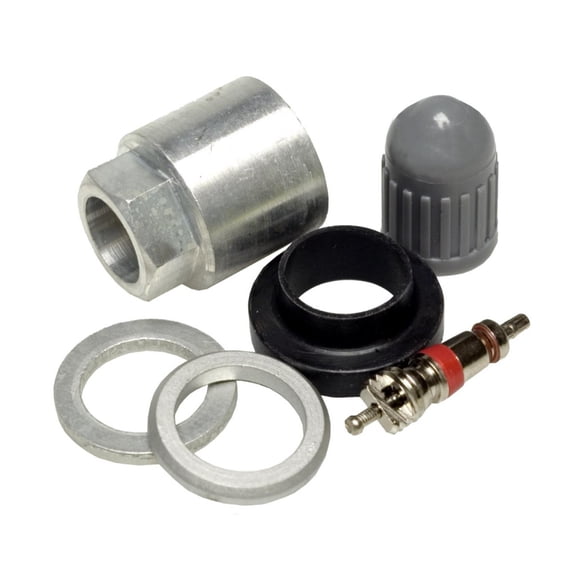 CarLights360 For BMW 528i 1997 1998 1999 2000 Tire Pressure Monitoring System Sensor Service Set