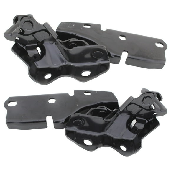 KarParts360 For Lexus IS300 2016 2017 2018 2019 2020 Hood Hinge Driver And Passenger Side | Pair | Replacement For LX1236142, LX1236143 | 5342053100, 5341053100