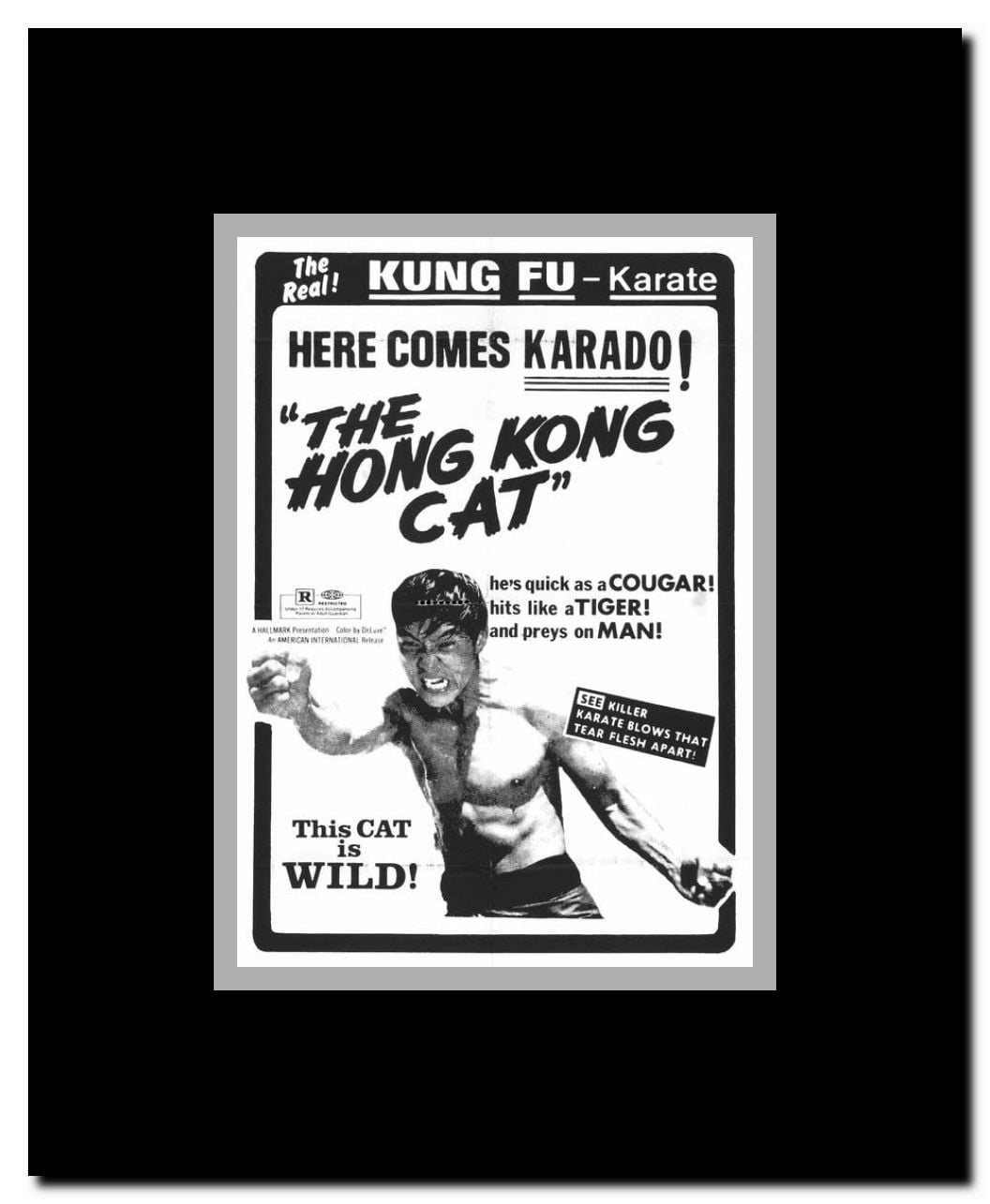 Karado: The Kung Fu Flash Framed Movie Poster