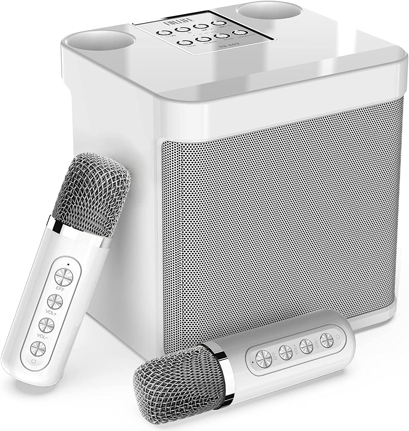 Karaoke Machine for Adults/Kids with 2 Wireless Microphones, Portable