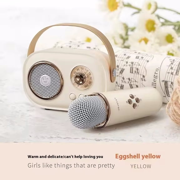 Karaoke Wireless Portable Bluetooth Speaker With Microphone Radio FM Machine Mini Music Sound Box Caixa De Som Small Mp3 Column