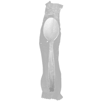Karat PP Heavy-Weight Wrapped Tea Spoon (White) - 1,000 pcs
