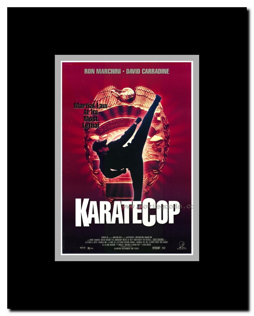 Karate Cop Framed Movie Poster