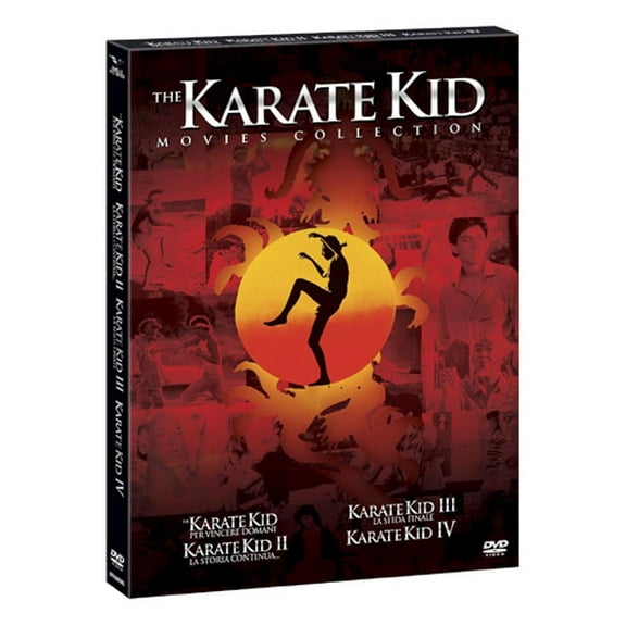 The Karate Kid Collection - 4-DVD Box Set ( The Karate Kid / The Karate Kid Part II / The Karate Kid Part III / The Next Karate Kid ) [ NON-USA FORMAT, PAL, Reg.2.4 Import - Italy ]