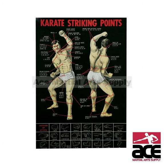 Karate Striking Point Poster