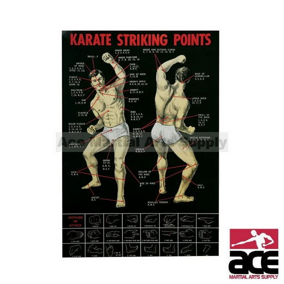 Karate Striking Point Poster