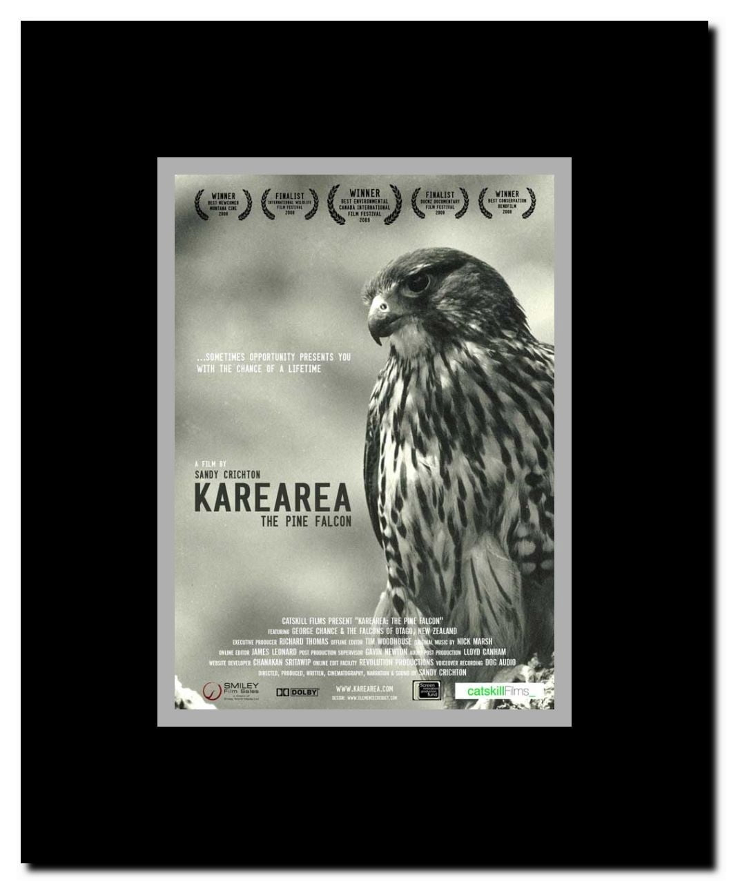 Karearea: The Pine Falcon Framed Movie Poster