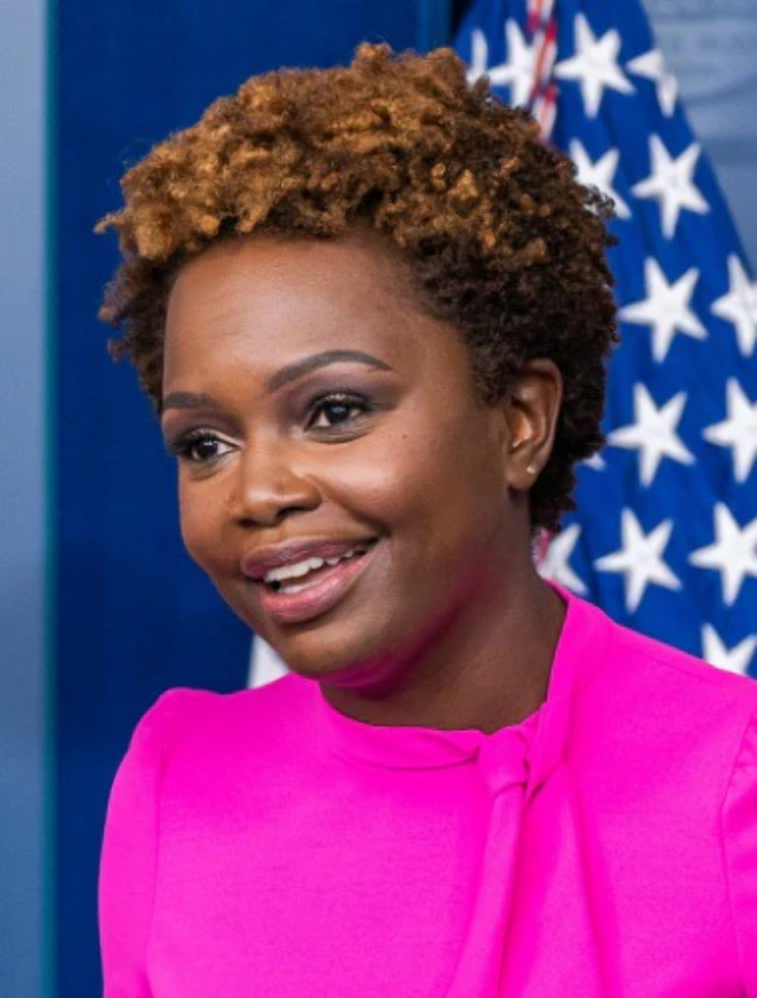 Karine Jean Pierre Net Worth - kx8b6k6