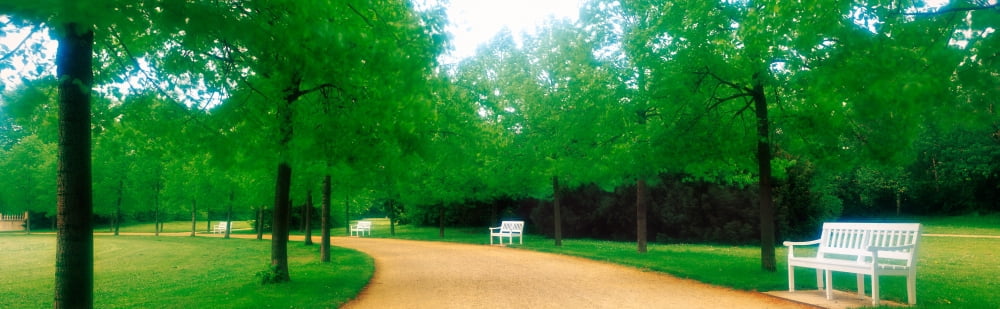 Karlsaue Park Kassel Germany Canvas Art - Panoramic Images (27 x 9)