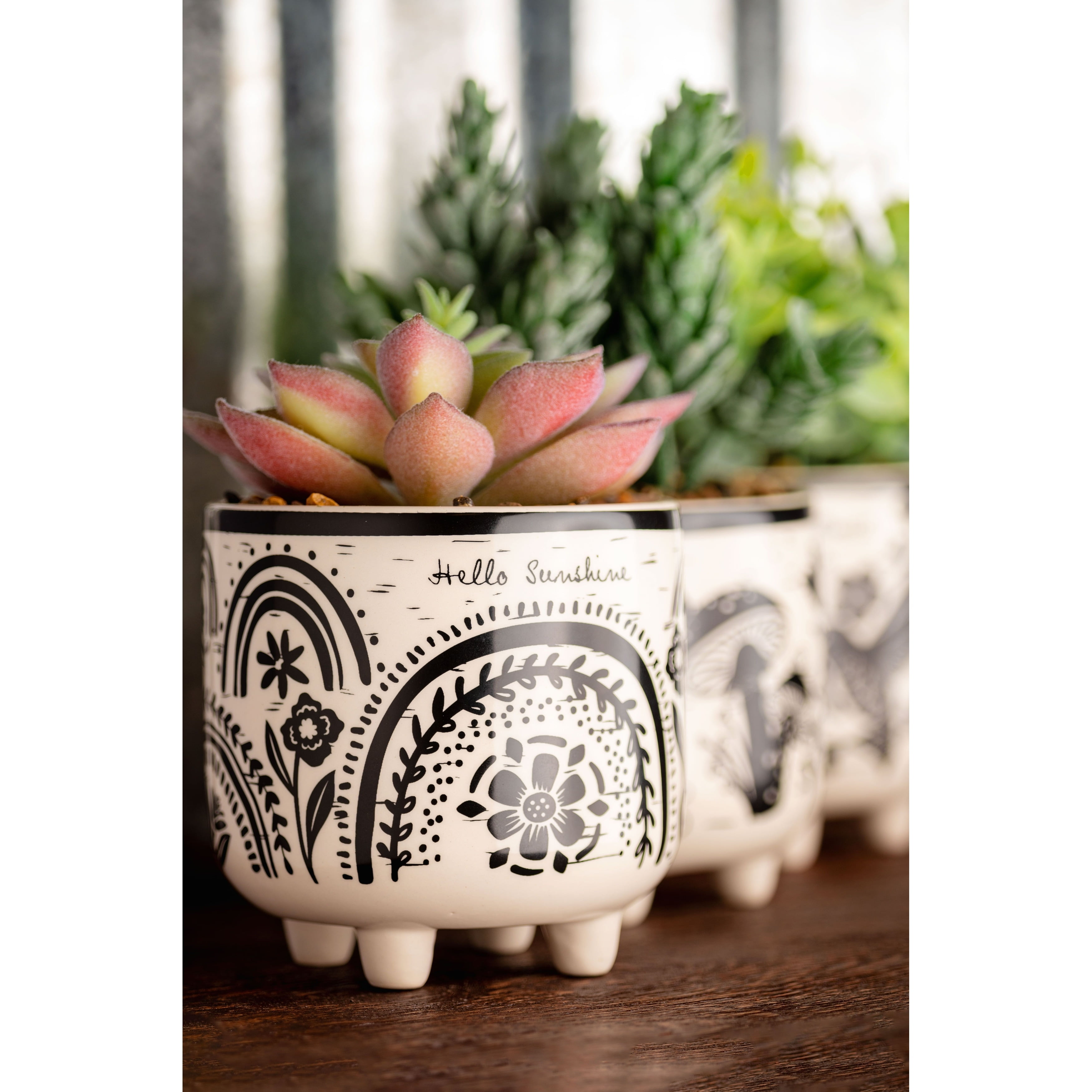 Boho Black and White Ceramic Footed Pot with Faux Succulent