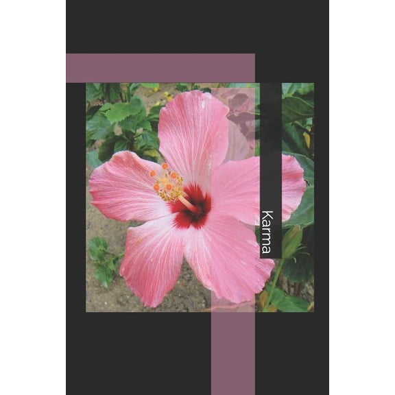 Karma (Paperback)