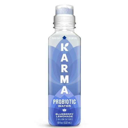 Karma Probiotic Water, Blueberry Lemonade, 18 fl. oz., 1 Count Bottle