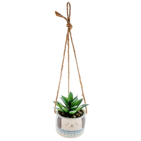 Karma Dog Hanging Succulent