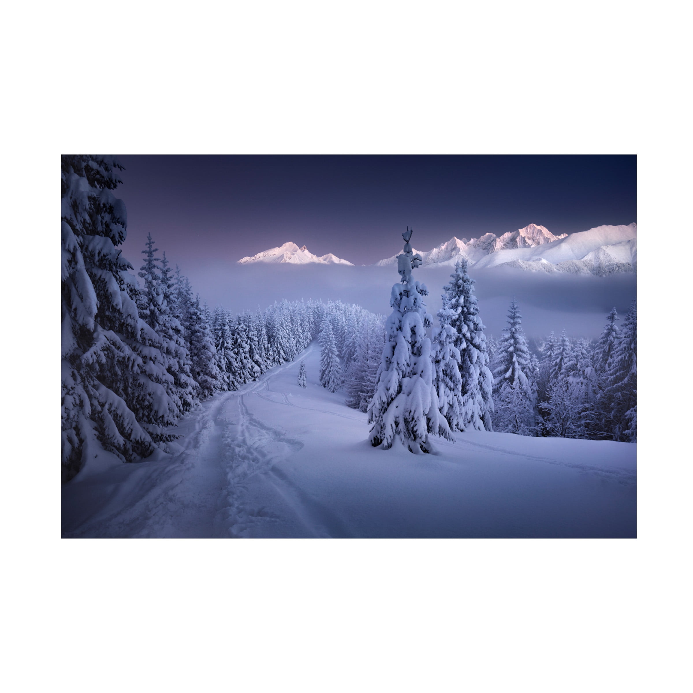 Karol Nienartowicz 'In The Winter' Canvas Art