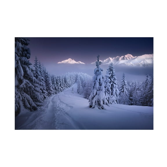 Karol Nienartowicz 'In The Winter' Canvas Art