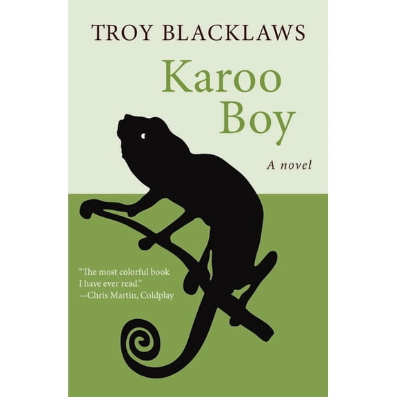Karoo Boy, (Paperback)