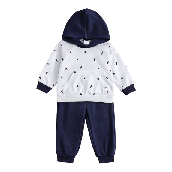 Karoyedx Toddler Boy Clothes Baby Boys Dinosaur Long Sleeve Hoodie Tops Sweatsuit Pants Winter Outfit Set Black Size,12-18 Months