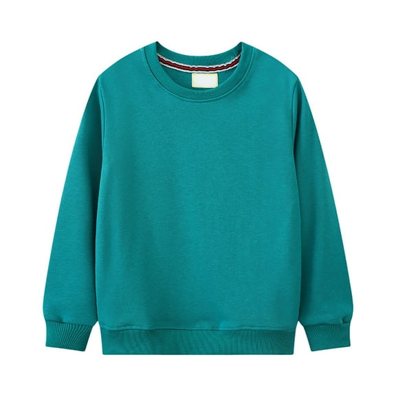 Karoyedx Toddler Boy Sweatshirt Toddler Boys Sweatshirts Cotton Long Sleeve Pullover Girls Crewneck Tops Cartoon Sport Shirts for Kids Green Size,2 Years