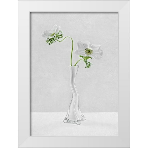 Karpova, Inna 24x32 White Modern Wood Framed Museum Art Print Titled - Curves