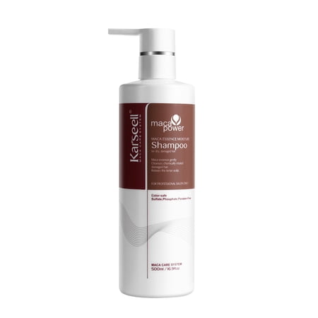 Karseell Argan Oil Moisturizing Shampoo for Dry Hair, Deep Repair Smooth Formula, 16.9 fl oz