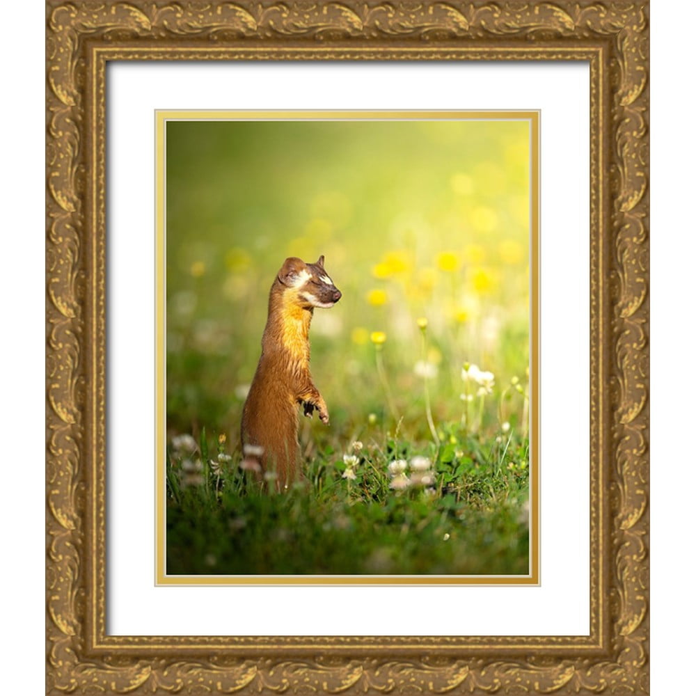 Karthik 26x32 Gold Ornate Wood Framed with Double Matting Museum Art