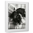 thumbnail image 1 of Karyn Millet 13x18 White Modern Wood Framed Wall Art Titled - Schnauzer, 1 of 5