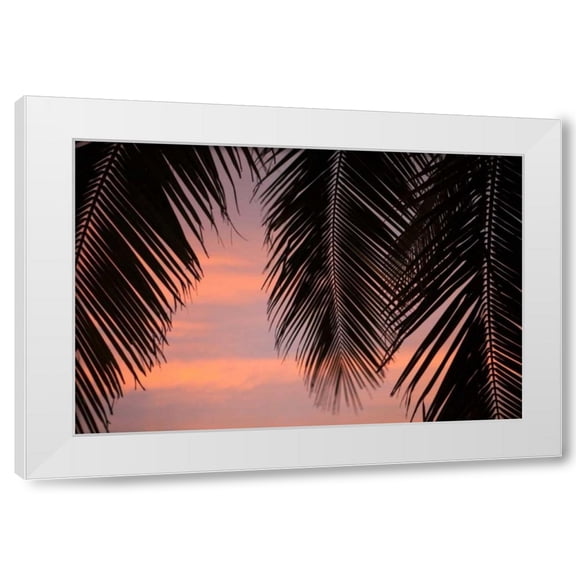 Karyn Millet 14x11 White Modern Wood Framed Wall Art Titled - Palms at Sunset