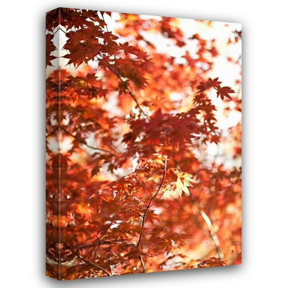Karyn Millet 23x32 Gallery Wrapped Canvas Wall Art Titled - In the Trees I
