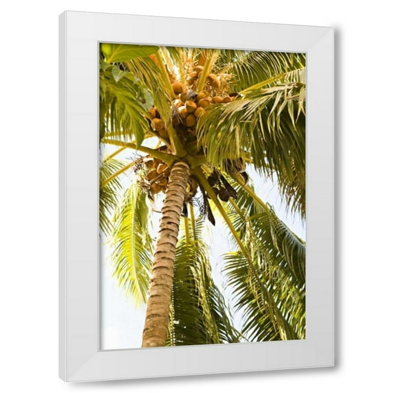 Karyn Millet 23x32 White Modern Wood Framed Wall Art Titled - Beach Palm I