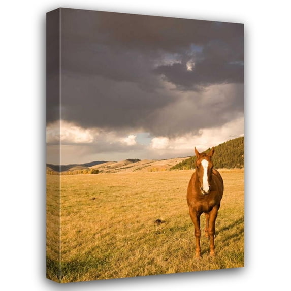 Karyn Millet 31x44 Gallery Wrapped Canvas Wall Art Titled - Out in the Pasture II