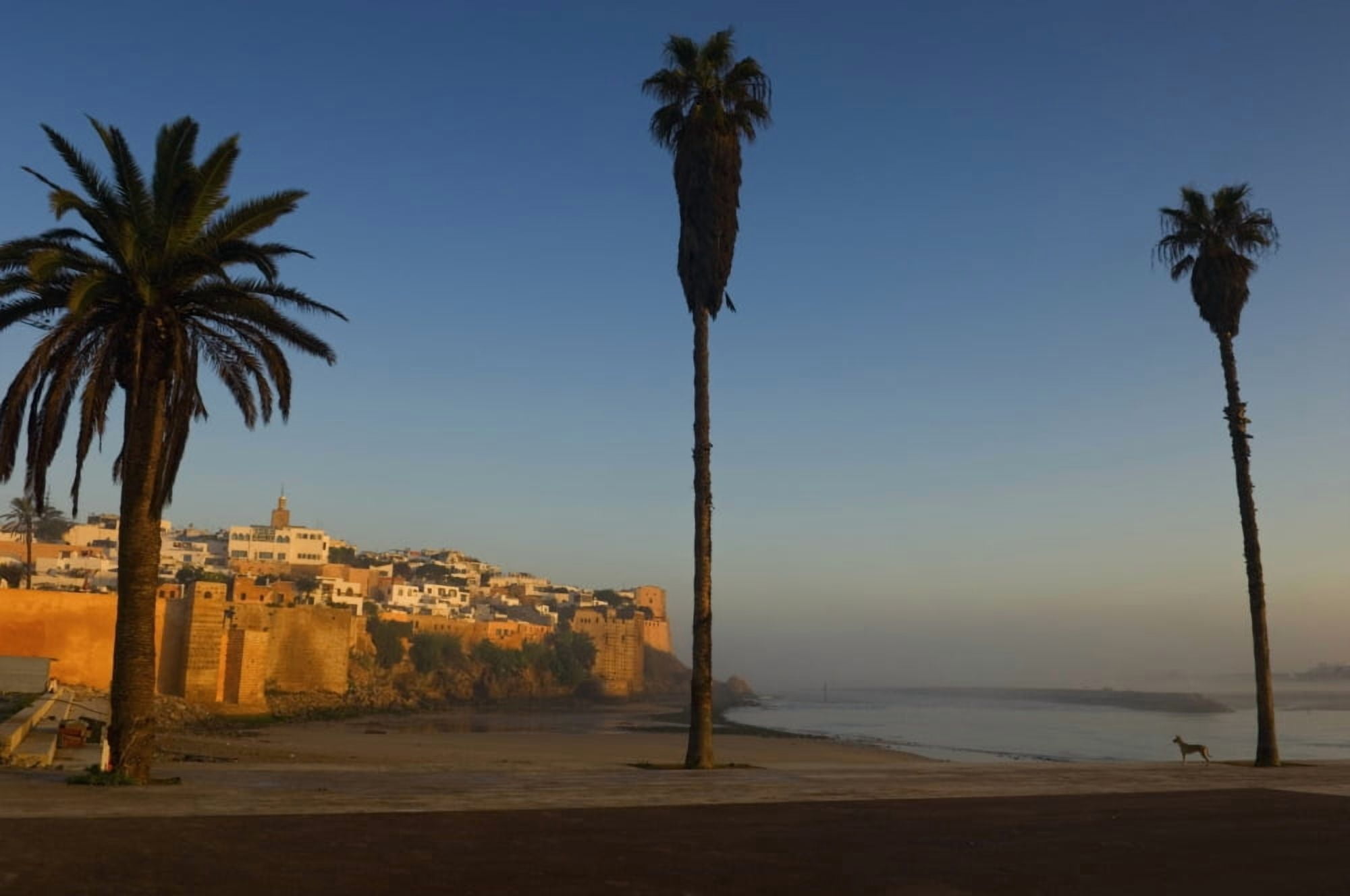 Kasbah Des Oudaias Rabat Canvas Art - Chris Parker Design Pics (19 x 12)