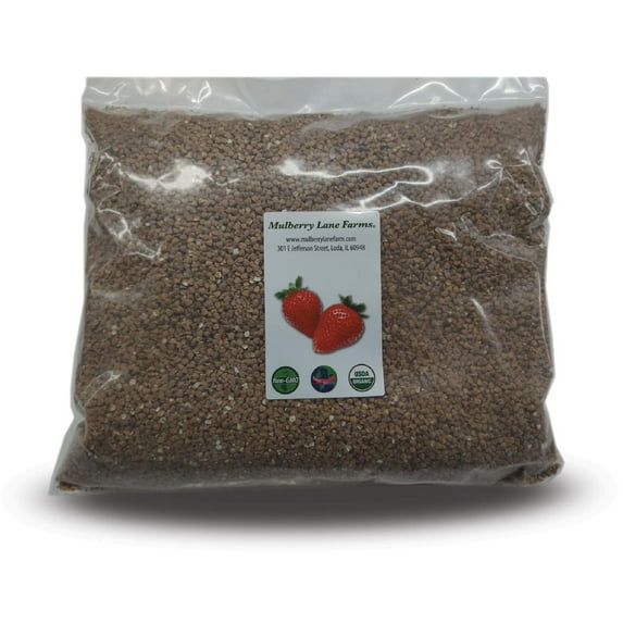 Kasha Buckwheat USDA Certified Organic 10 lbs (ten pounds) USDA Certified Organic, Non-GMO, Bulk by Mulberry Lane Farms
