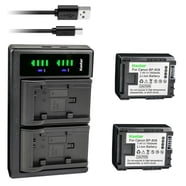 Kastar USB Charger Kit W/ Battery For Panasonic PV-L659, PV-B15, PV-B17 Camcorders