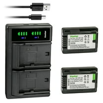 Kastar 2-Pack Battery and LTD2 USB Charger Compatible with Panasonic VW-VBY100 Battery, Panasonic HC-V110 HC-V110G HC-V110GK HC-V110K HC-V110P HC-V110P-K HC-V130 HC-V130K HC-V201 HC-V201K Cameras