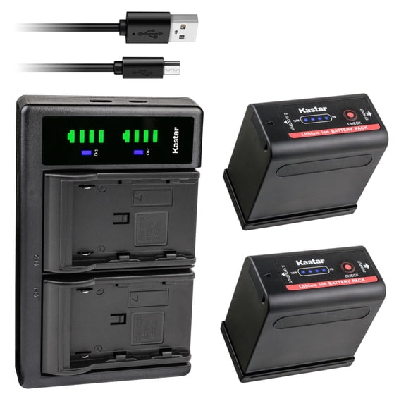 Kastar 2-Pack Battery and LTD2 USB Charger Replacement for Canon EOS C100 Mark II, EOS C300, EOS C300 PL, EOS C500, EOS C500 PL, ES50, ES55, ES60, ES65, ES75, ES300V, ES410V, ES420V, ES520A, ES4000