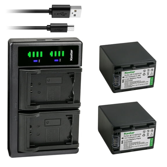 Kastar 2-Pack Battery NP-FV100 and LTD2 USB Charger Compatible with Sony DCR-SX34 DCR-SX43 DCR-SX44 DCR-SX45 DCR-SX53 DCR-SX63 DCR-SX65 DCR-SX73 DCR-SX83 DCR-SX85 DEV-3 DEV-30 DEV-5 DEV-50 Camera