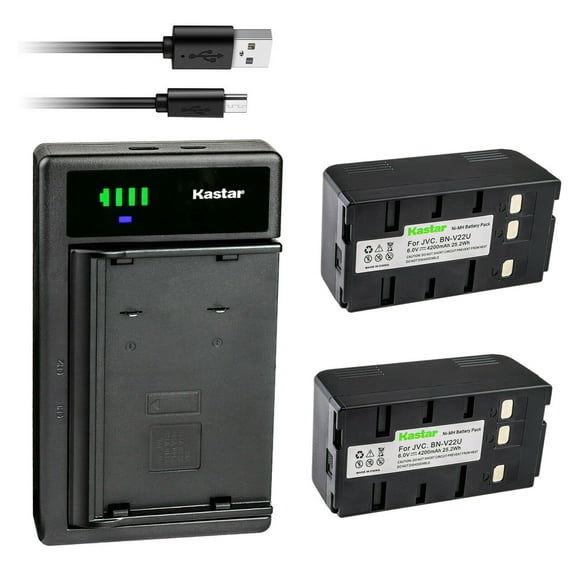 Kastar 2-Pack Battery and Smart USB Charger Replacement for Panasonic PV-D507 PV-D607 PV-D705 PV-IQ203 PV-IQ205 PV-IQ244D PV-IQ303 PV-IQ305 PV-IQ306 PV-IQ325 PV-IQ403 PV-IQ404 PV-IQ404A PV-IQ405