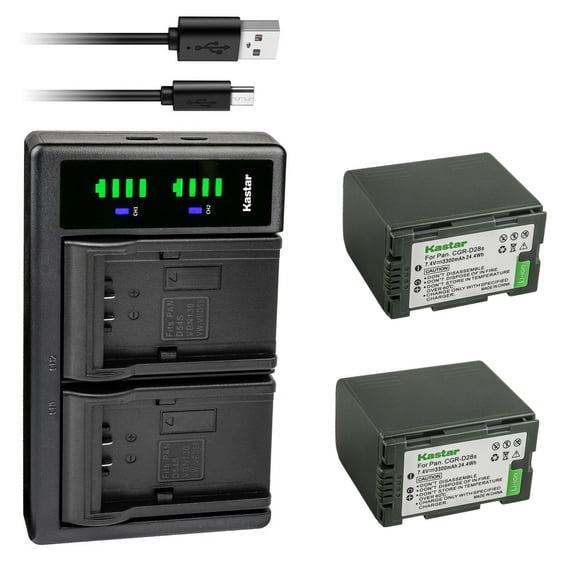 Kastar 2-Pack CGR-D28 Battery and LTD2 USB Charger Replacement for Panasonic PV-GS16, PV-BP8, PV-D401, PV-VM202, DZ-MX5000, VDR-M10, VDR-M20, AJ-PCS060G(Portable Hard Disk), AG-3DA1, AG-3DA1E