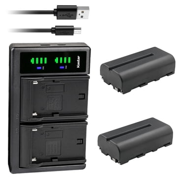2-Pack Replacement Battery & LCD USB Charger For Panasonic HX-DC1, DC2, DC3, DC10, DC15 Camcorders | 900mAh Li-ion